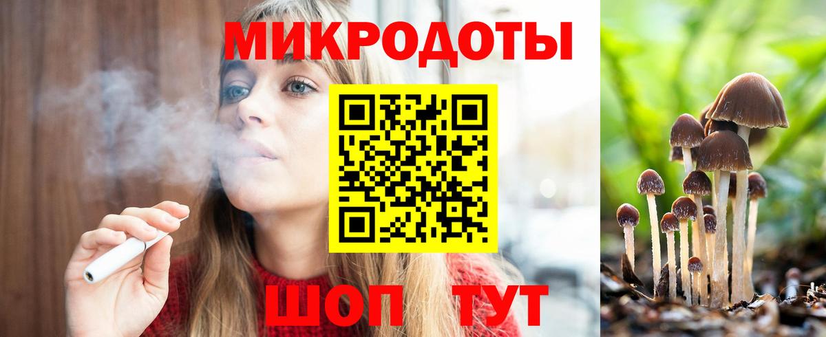 Галлюциногенные грибы Psilocybe Бугуруслан