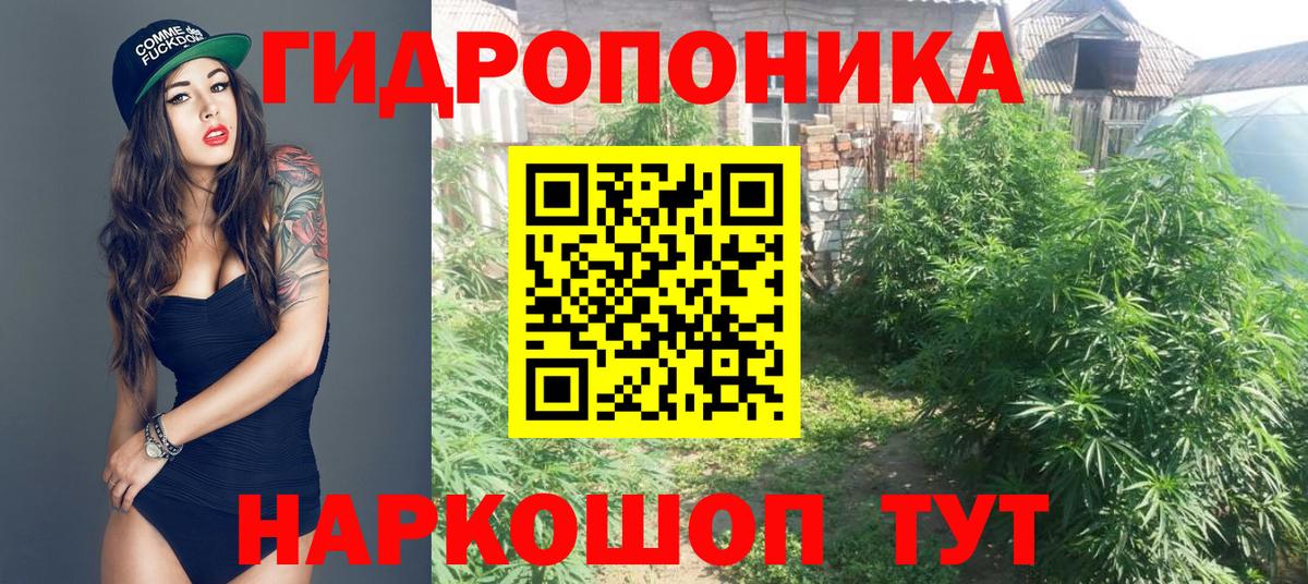 Канабис план  Канабис сатива  МАРИХУАНА план  Вход с VPN  Канабис THC 21%  Бугуруслан 